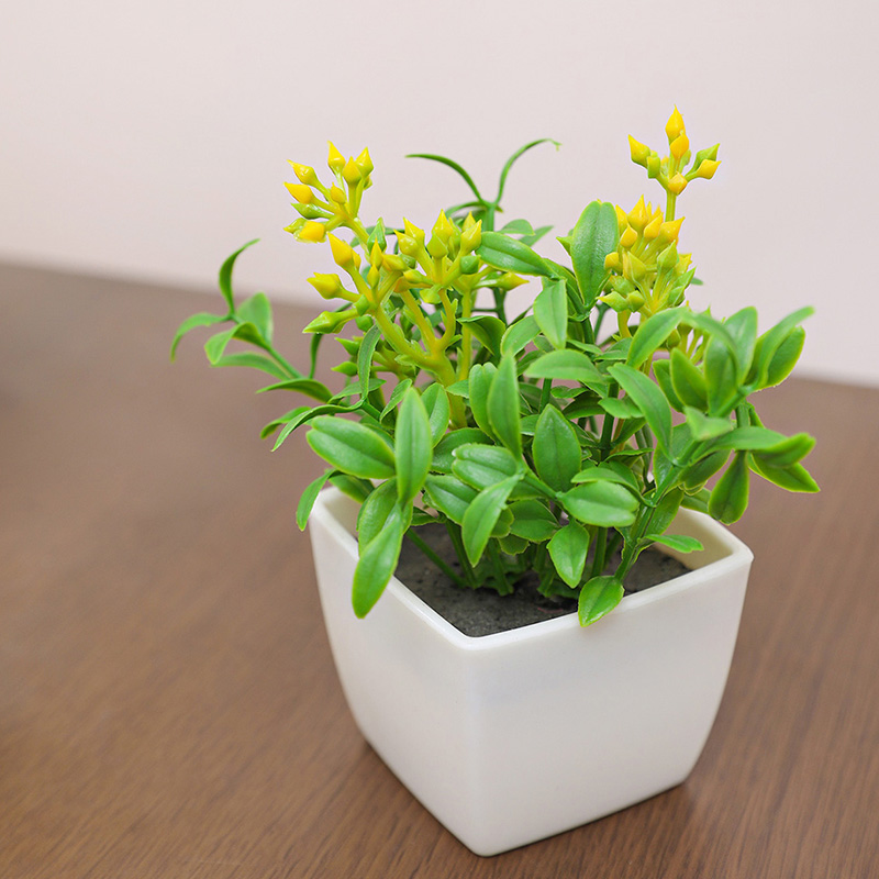Tanaman pot kecil dari bunga b - Baby Bookshelf Small ulasan dan harga