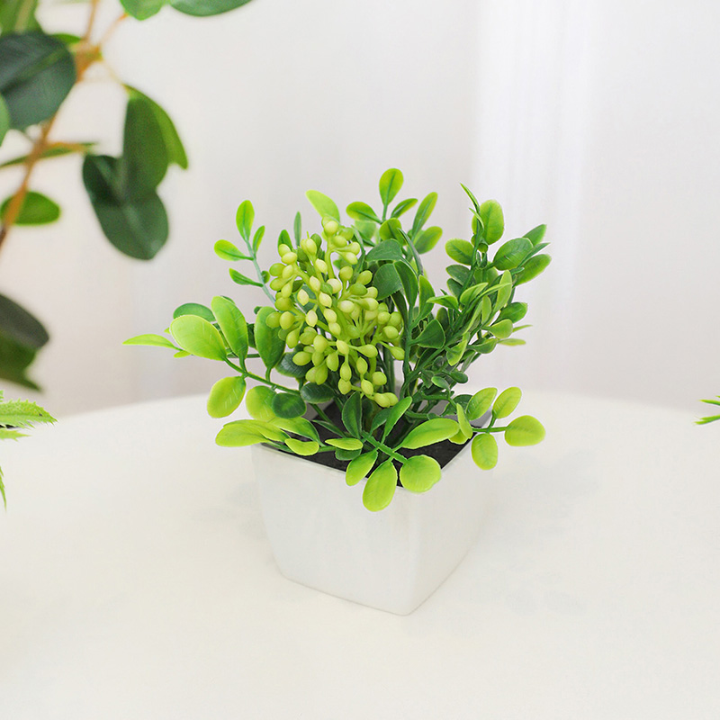 Tanaman pot kecil dari bunga b - Baby Bookshelf Small ulasan dan harga